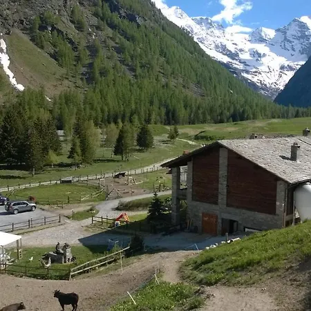 La Ferme Du Grand Paradis * Cogne