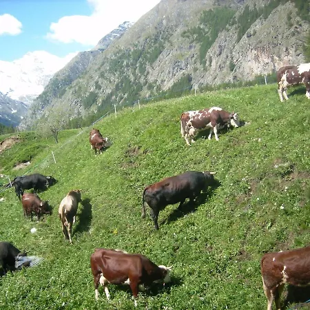 Gospodarstwo agroturystyczne La Ferme Du Grand Paradis *
